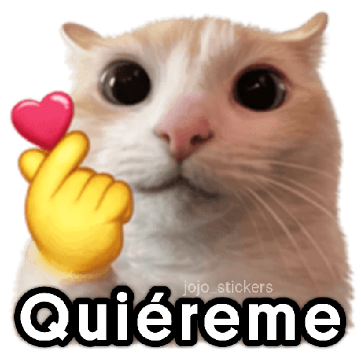 🐾🐈‍⬛ Gato |michi|cat 🐾 1