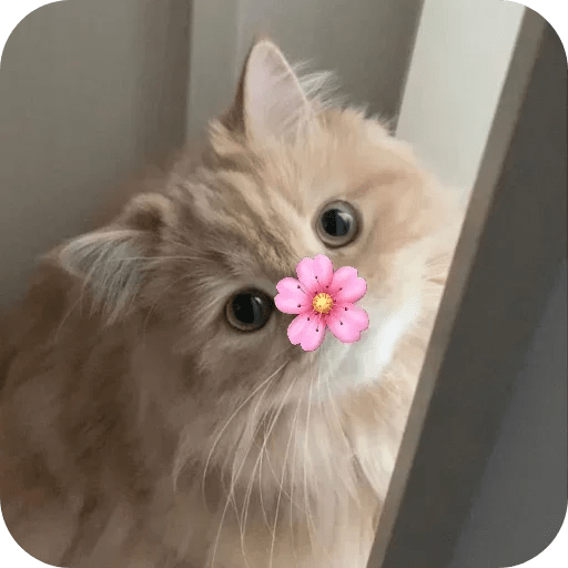 Monitos bonitos tiernos 🌸🙈 10