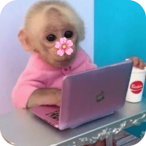 Monitos bonitos tiernos 🌸🙈 20