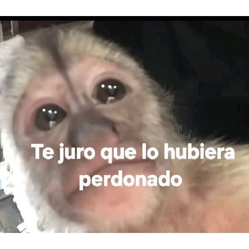 Frases 🫢 10