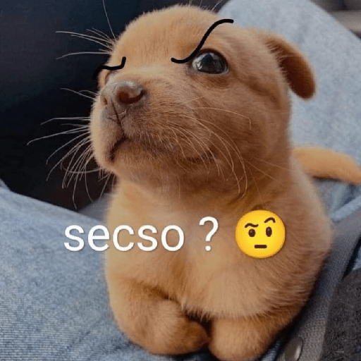 Reacciones 🤪 4