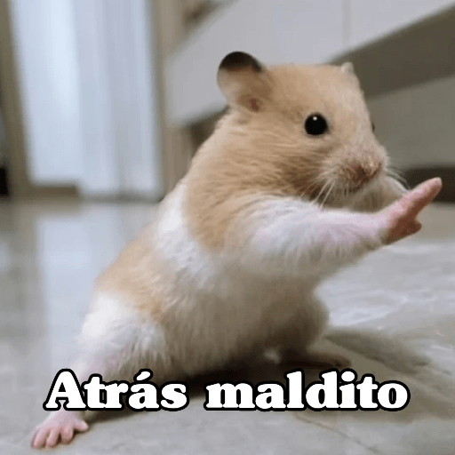 🧿 Hamster ratas roedores🐭🐁🐹🐀 25