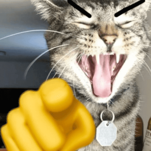 Gatinhos fofos 7
