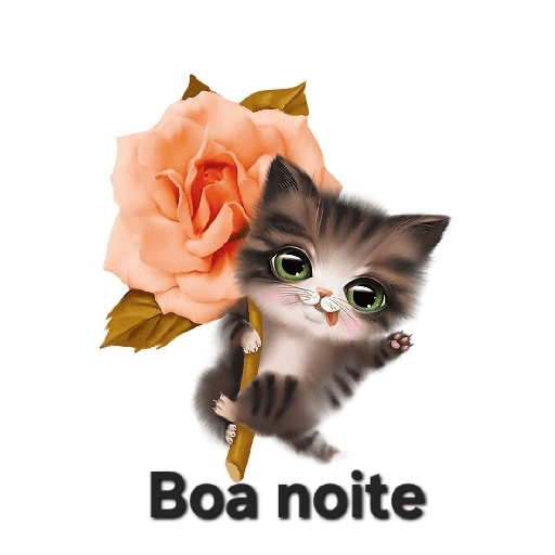 Boa noite 2