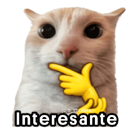 🐾🐈‍⬛ Gato |michi|cat 🐾 13