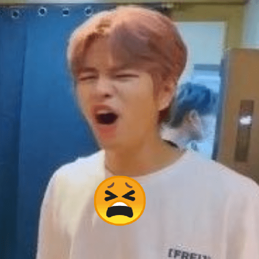 straykids memes 29 😣