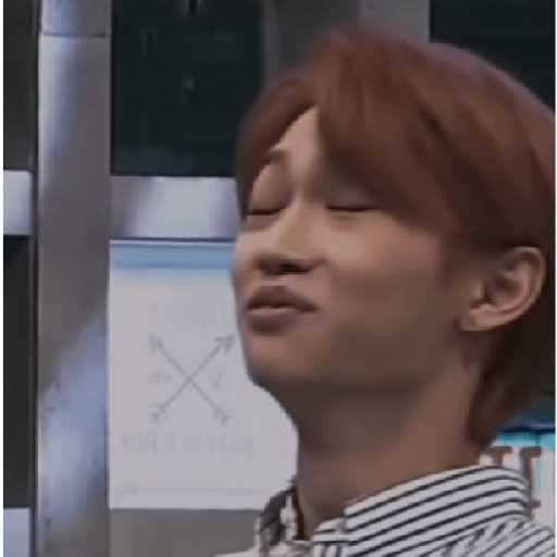3 stray kids 8