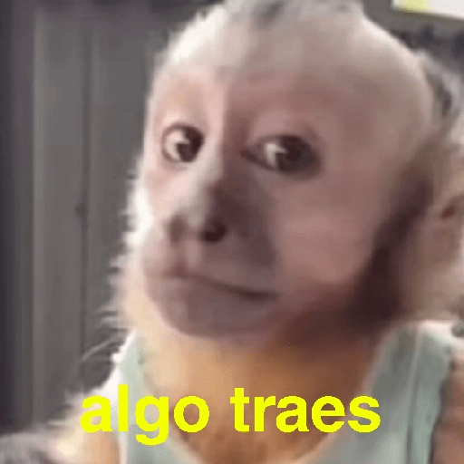Changuitos Random 🐒 9