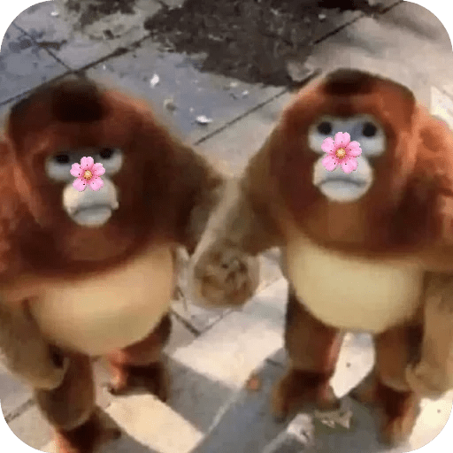 Monitos bonitos tiernos 🌸🙈 19