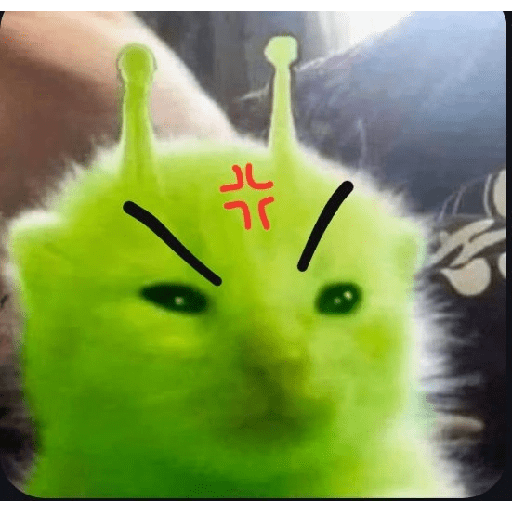 GREEN ALIEN CAT 2