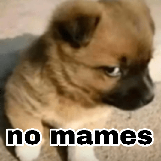 Perritos enojados 🔥😡 7
