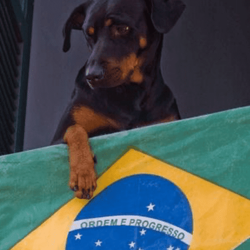 Brasil x Haiti 13