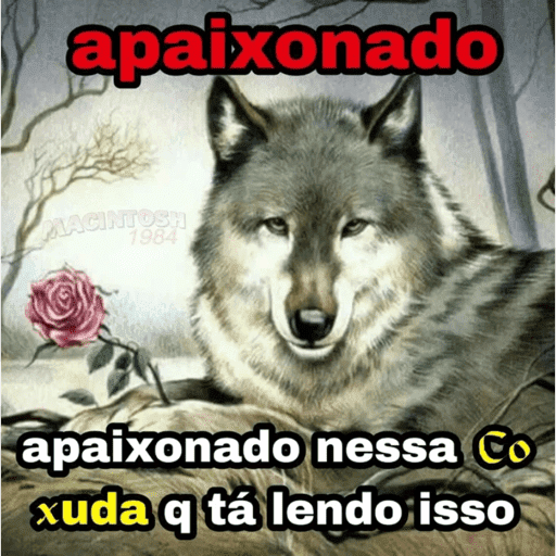 Sapecagens 10