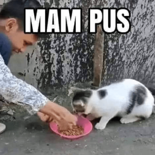 Meme lucu stiker 8