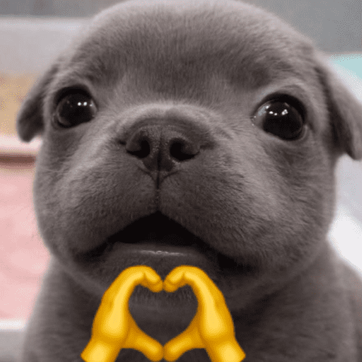 Pibble 6