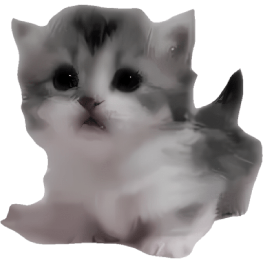 Gatitos memes viral 🔥 6