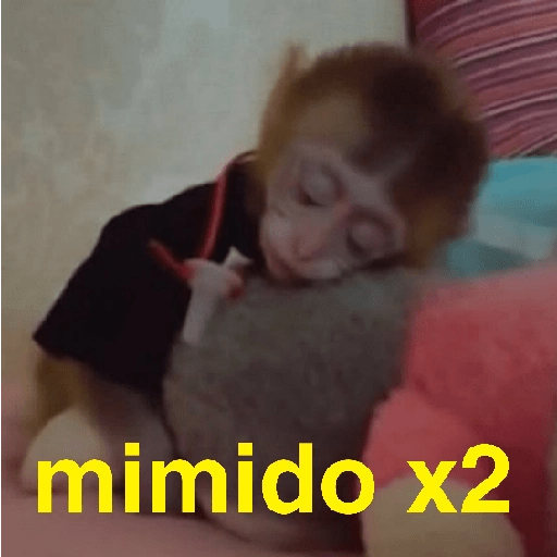 Changuitos Random 🐒 11