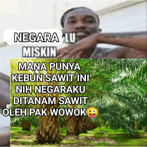 El sawit 4