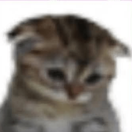 Memes 77 6