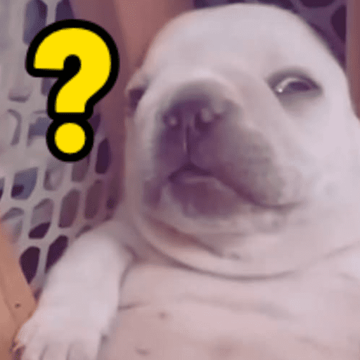 Pibble 12