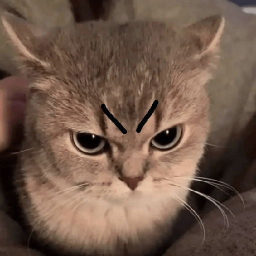 Gatitos enojados 😡 🔥 15