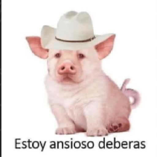 Memes 76 2