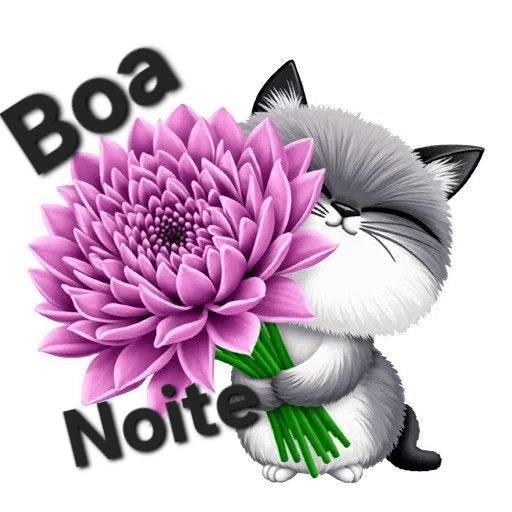 Boa noite 1