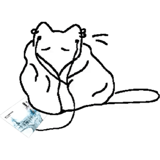 Gatitos para el chat 💖😽 16