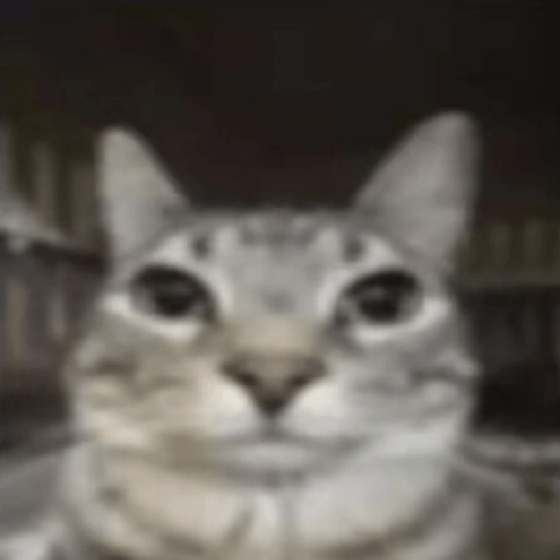 Gatitos 🙊 5
