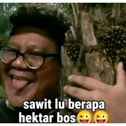El sawit 9