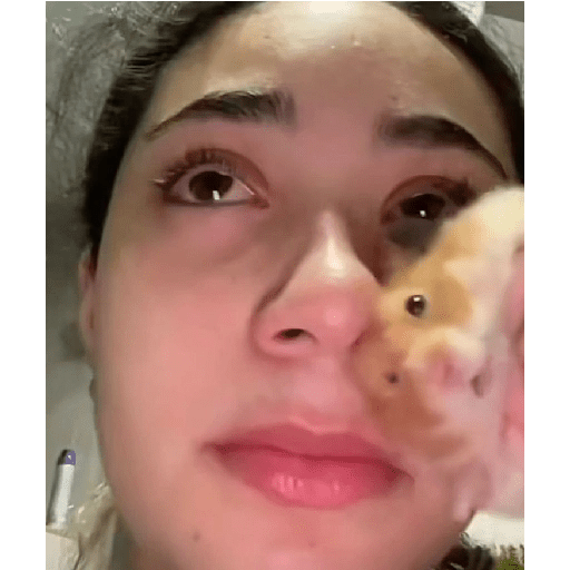 HAMSTER IMUT 13