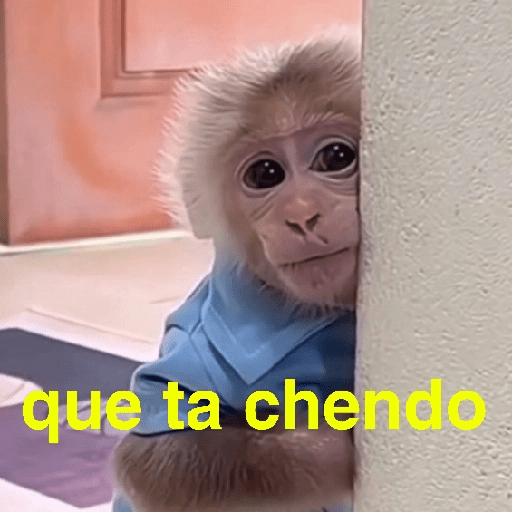Changuitos Random 🐒 7