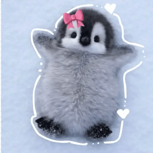 💓 Pingüinos bebé 3🐧 11