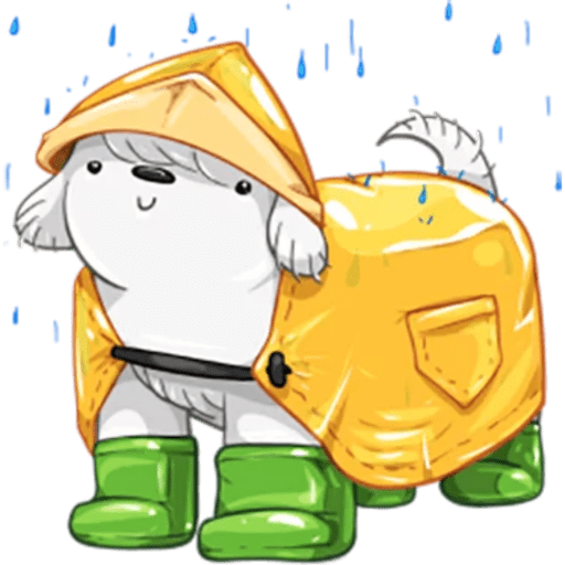 Beloni Cute Dog ✨🐶 19