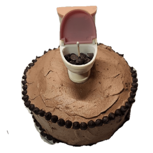 Poop cake birthday 10