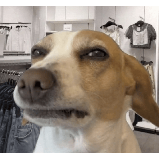 Memes Face 🗣🔥 5
