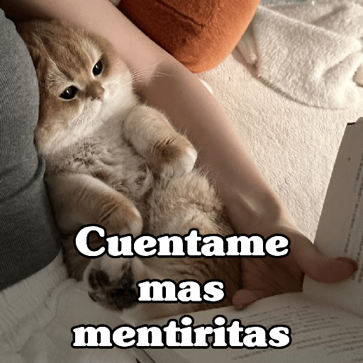 🧿 Dilo con Michis 4🐱 2
