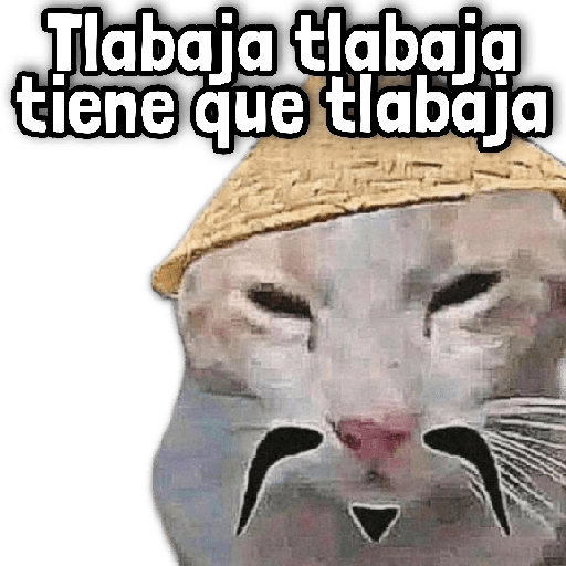 Memes en Tendencia 🔥 5