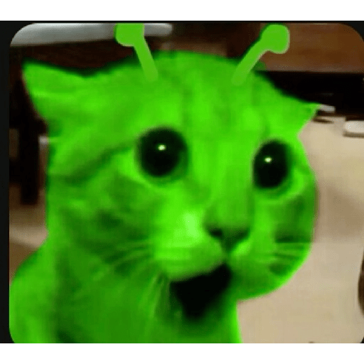 GREEN ALIEN CAT 12