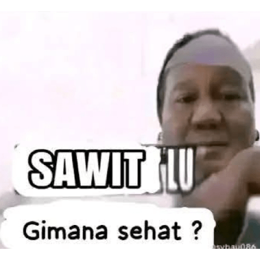 El sawit 11