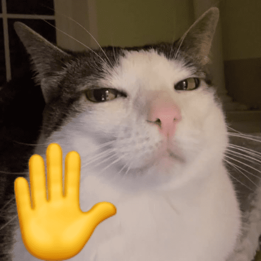 Gatinhos fofos 5