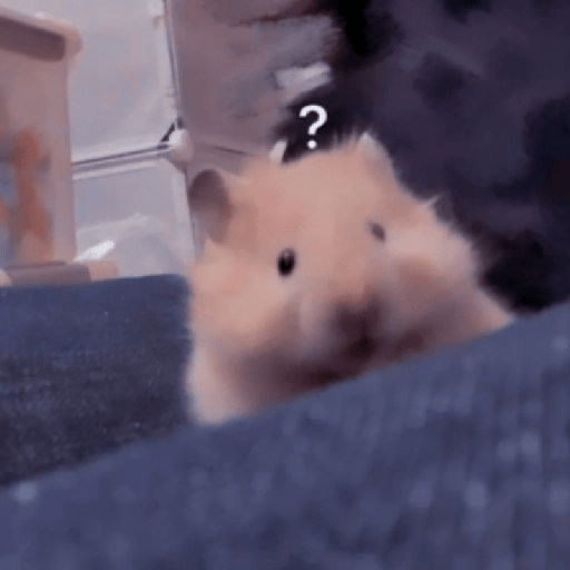 HAMSTER IMUT 20