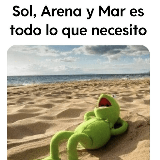Vacaciones 🏕️🏖️✈️🧳 6