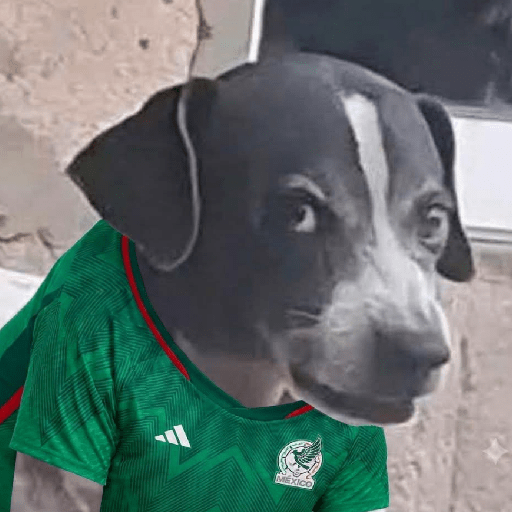 Memes 77 14
