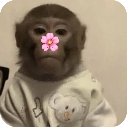 Monitos bonitos tiernos 🌸🙈 5