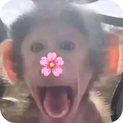 Monitos bonitos tiernos 🌸🙈 18