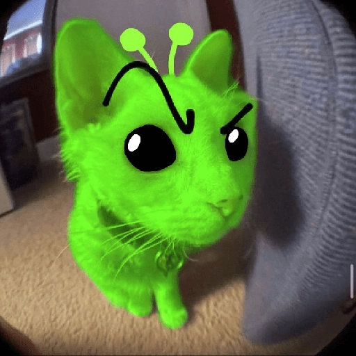 GREEN ALIEN CAT 9