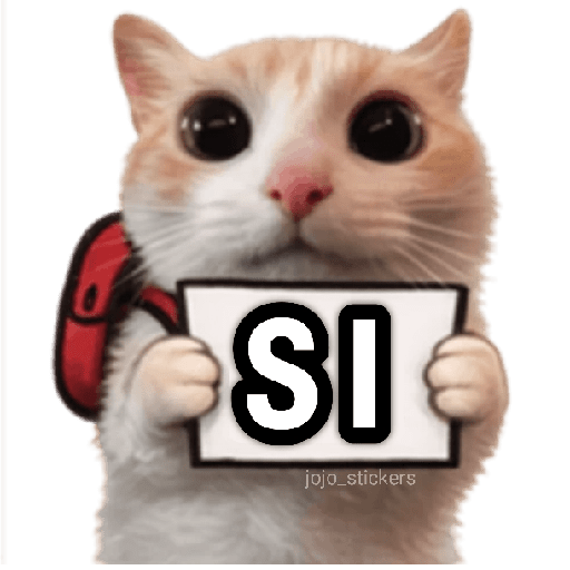 🐾🐈‍⬛ Gato |michi|cat 🐾 15