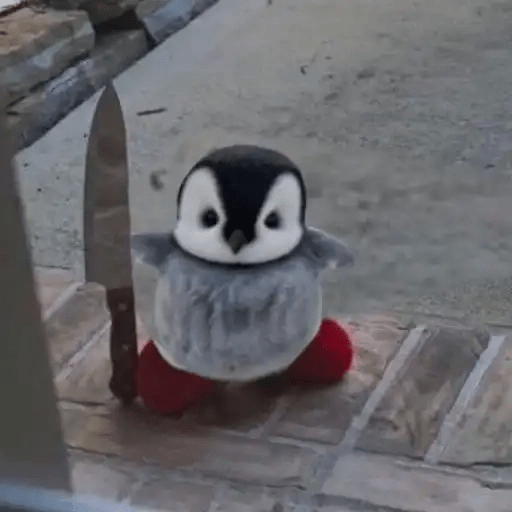 💓 Pingüinos bebé 3🐧 10