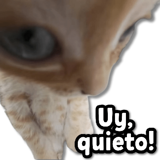 COMBO de Stickers #22 🫟 7